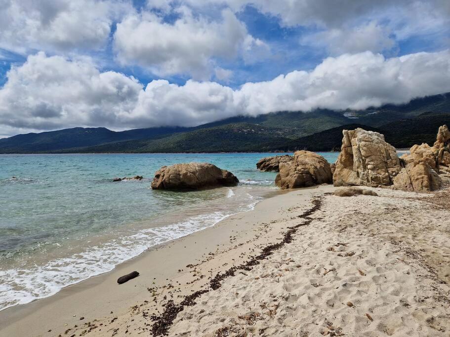 Mini Villa 69 - Piscine Chauffee Serra-di-Ferro  Eksteriør billede